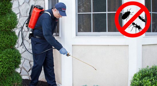 Bafra Böcek İlaçlama böcek ilaçlama ve haşere kontrolü — ilaclama-tr.com